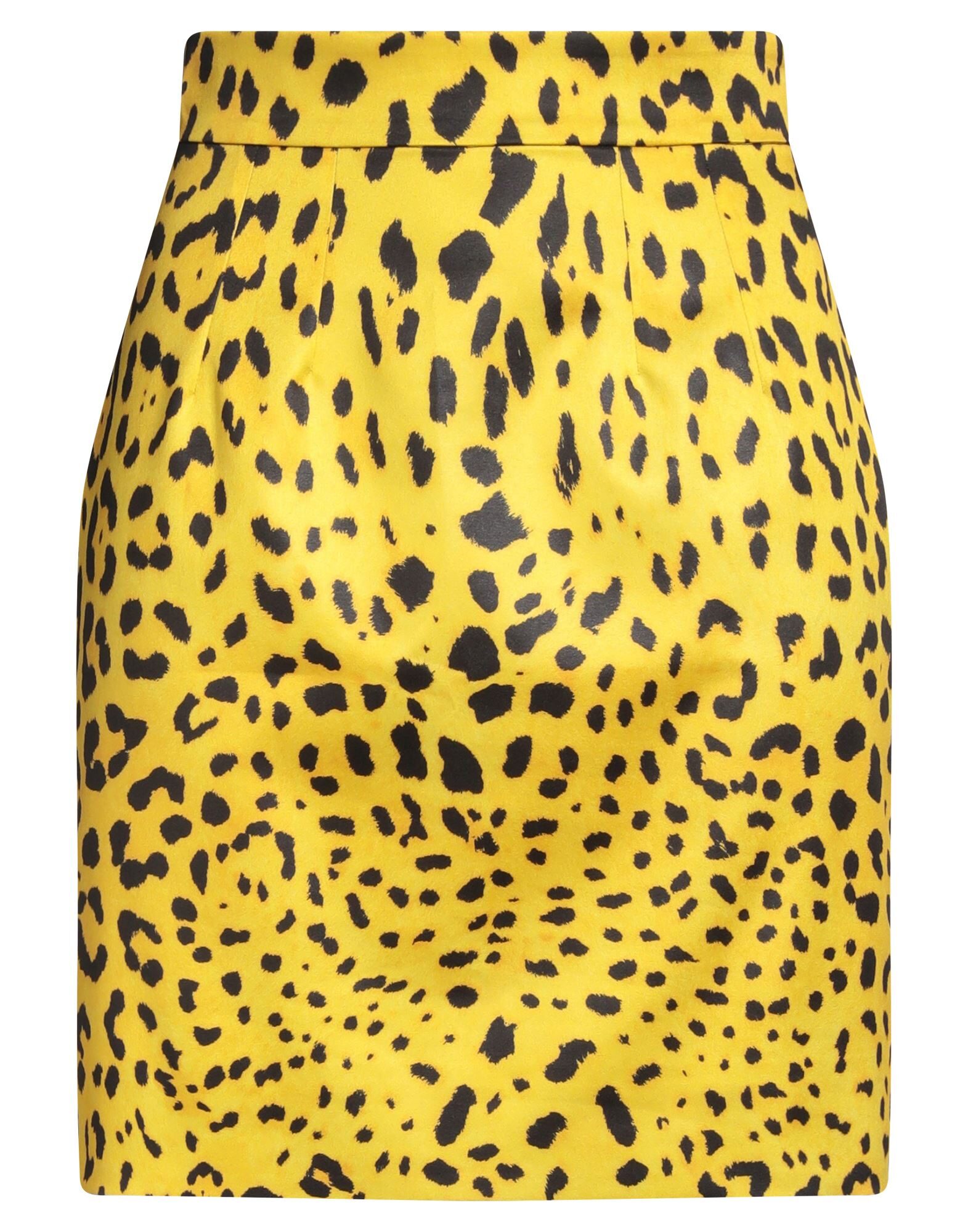 DOLCE&GABBANA - Mini skirts