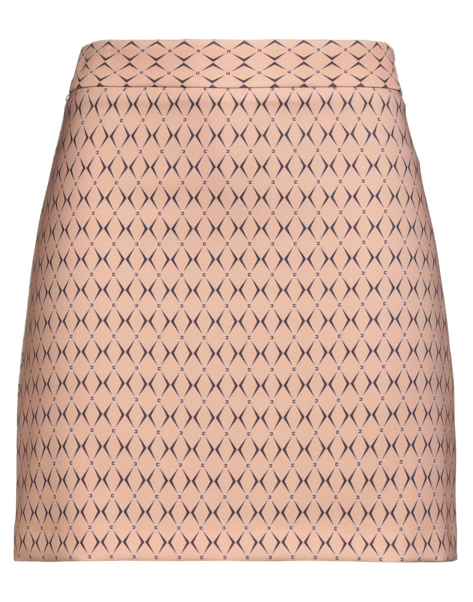 ELISABETTA FRANCHI - Mini skirts