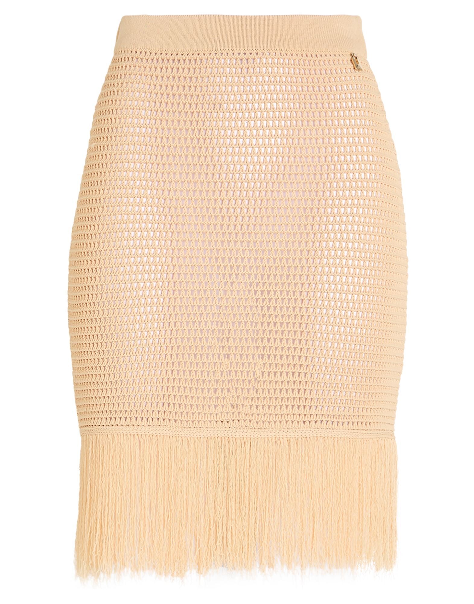 ELISABETTA FRANCHI - Mini skirts