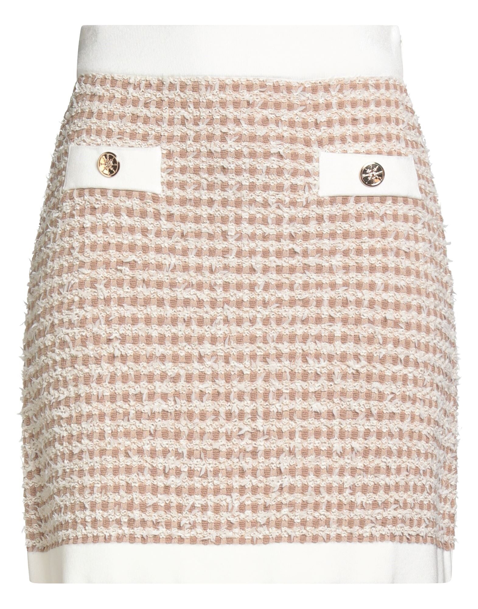 ELISABETTA FRANCHI - Mini skirts