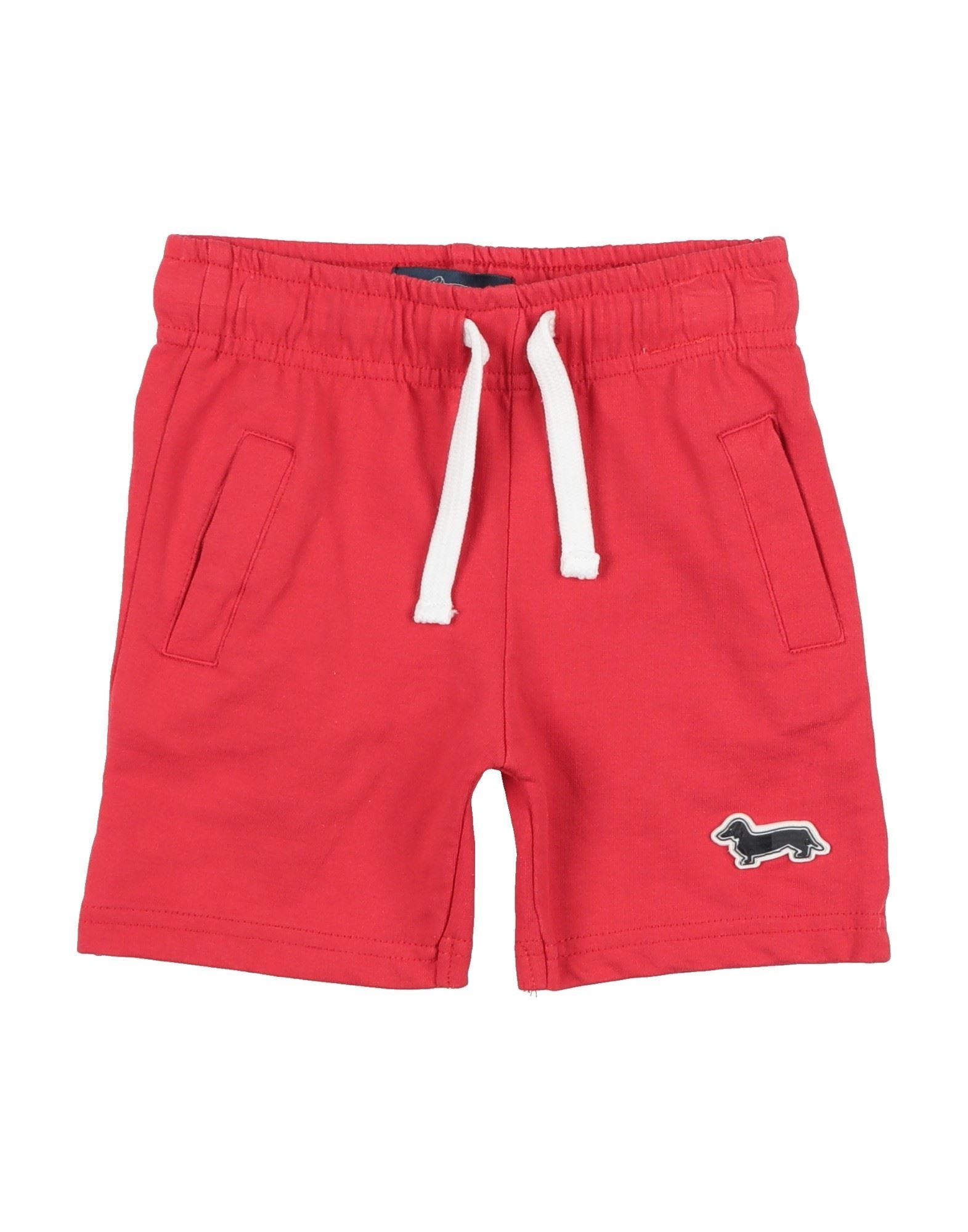 HARMONT & BLAINE - Shorts & Bermuda Shorts