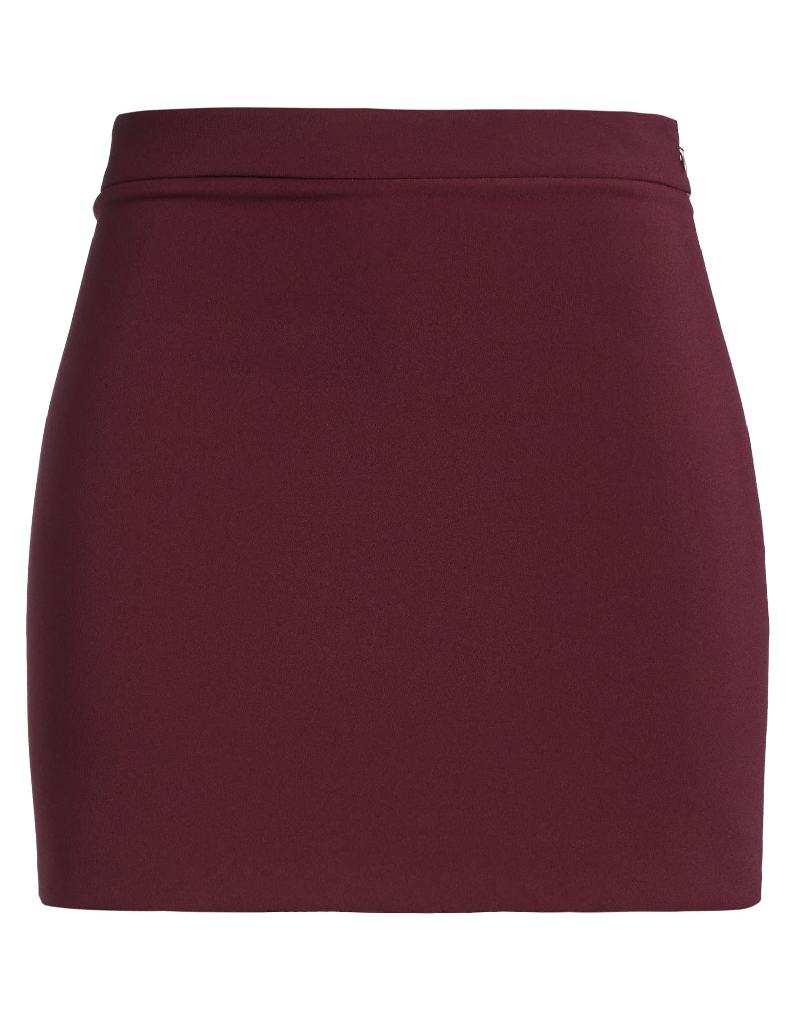ELISABETTA FRANCHI - Mini skirts