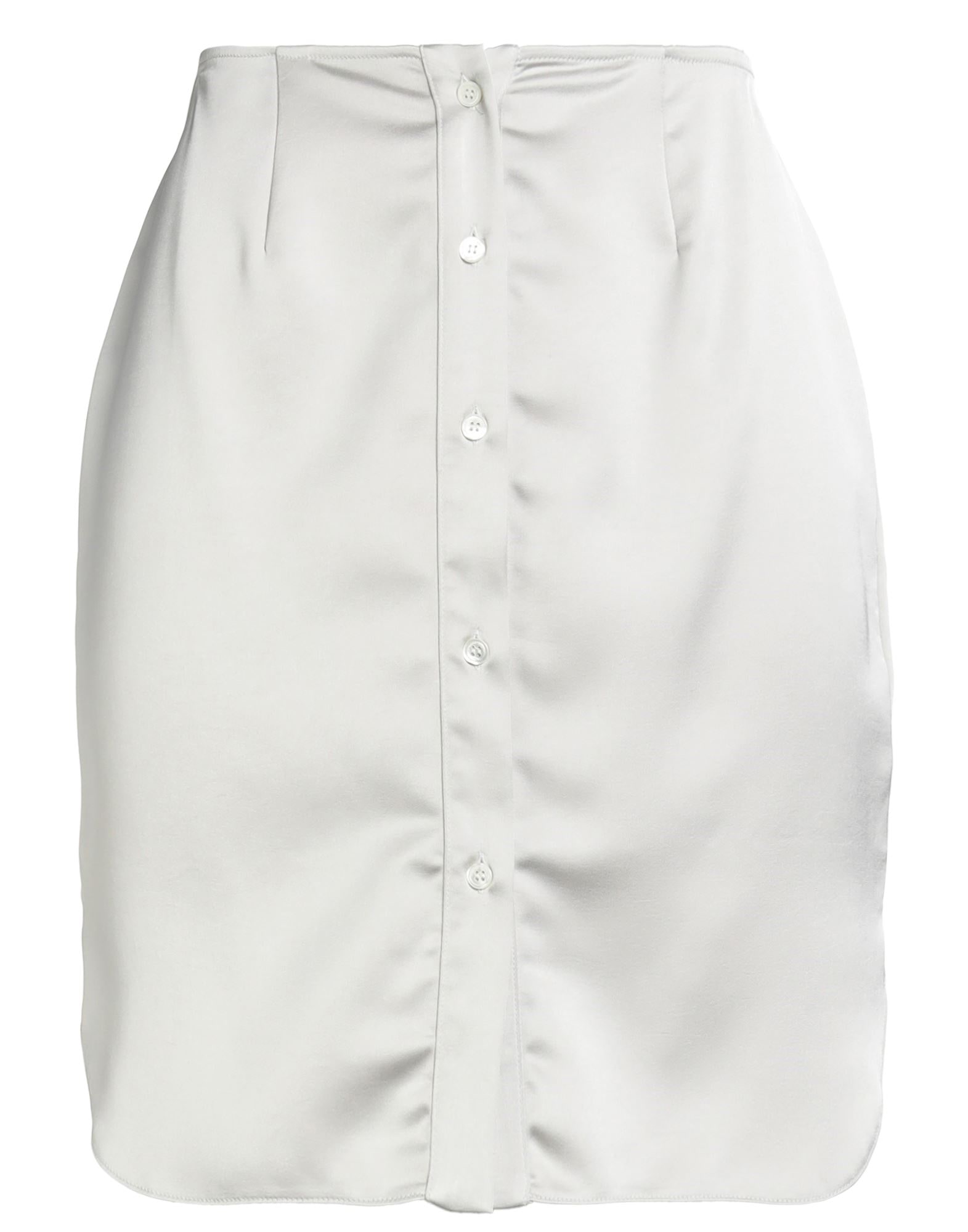 ROBERTO COLLINA - Mini skirts