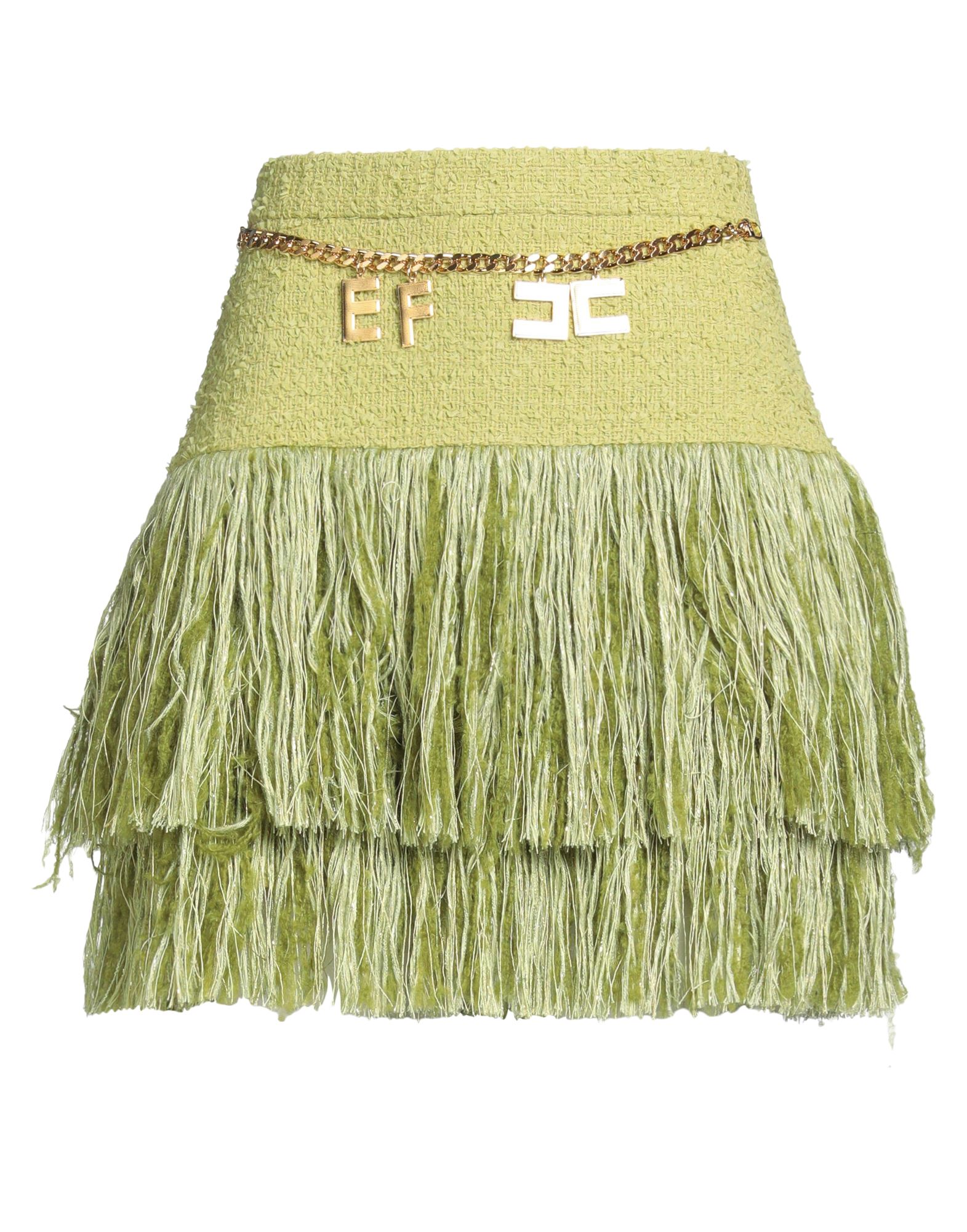 ELISABETTA FRANCHI - Mini skirts