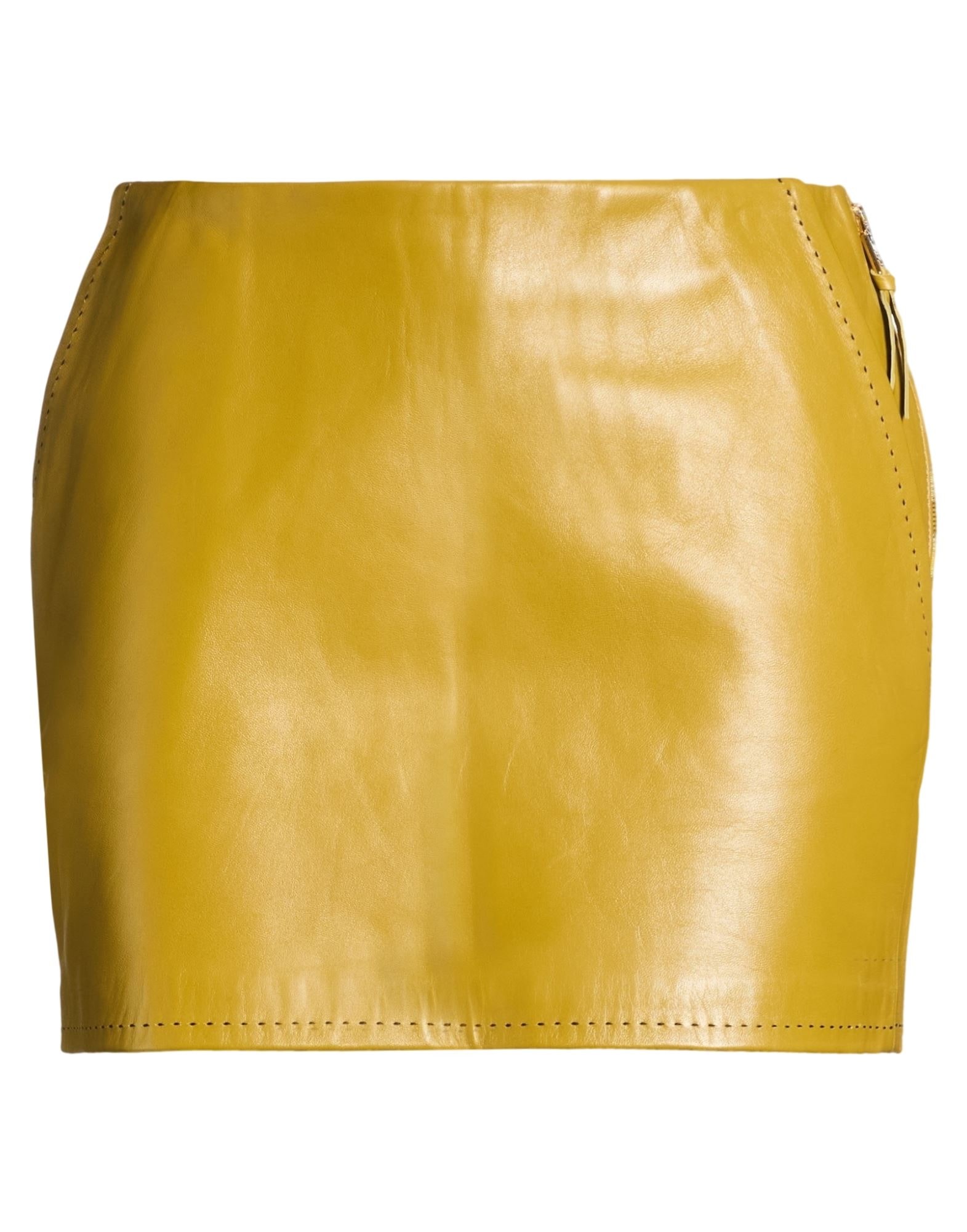 ELISABETTA FRANCHI - Mini skirts