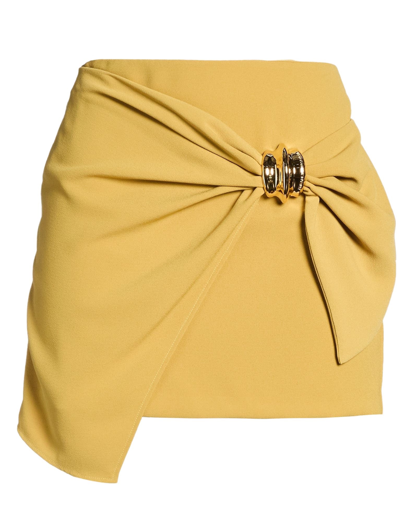 ELISABETTA FRANCHI - Mini skirts
