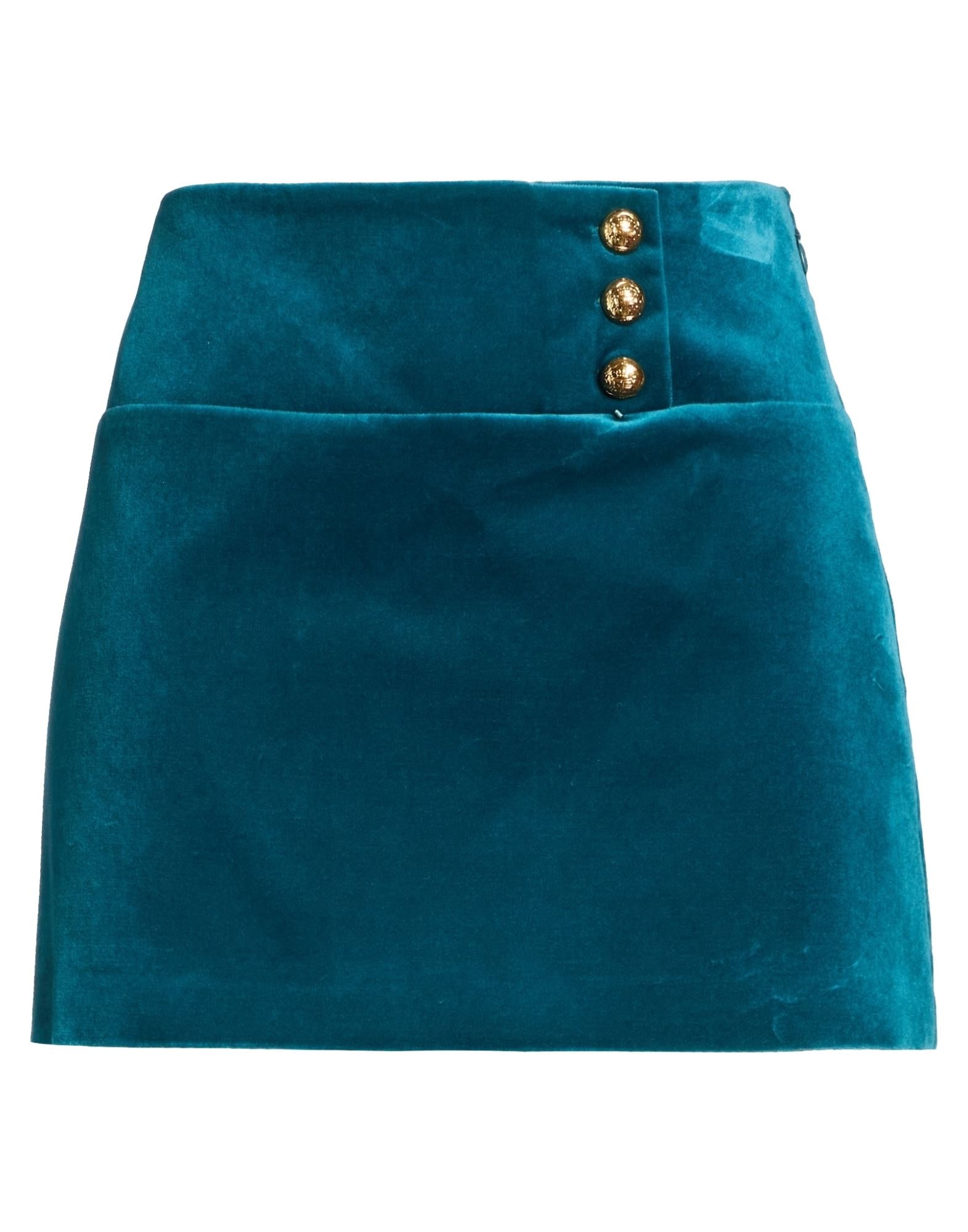 ELISABETTA FRANCHI - Mini skirts