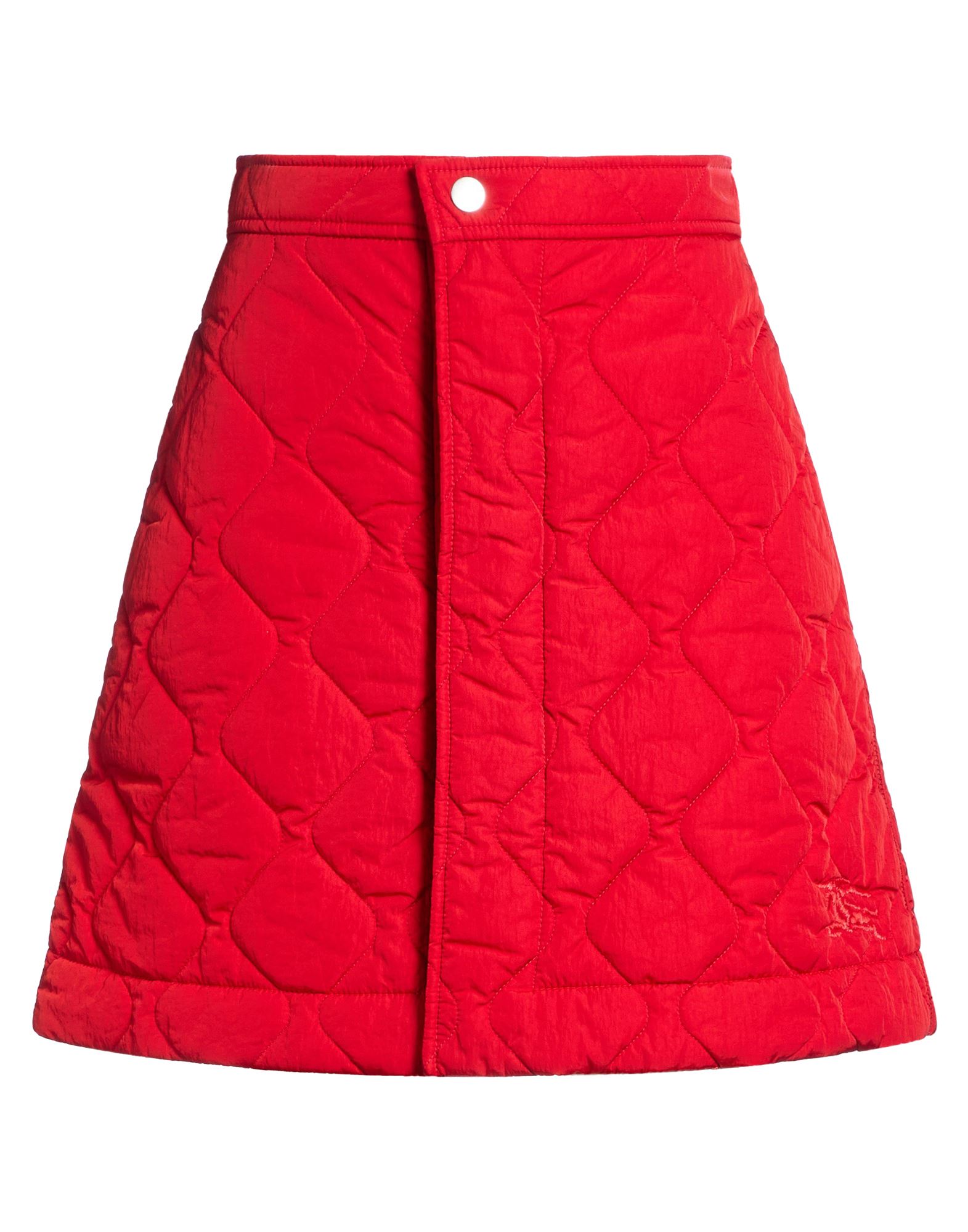 BURBERRY - Mini skirts