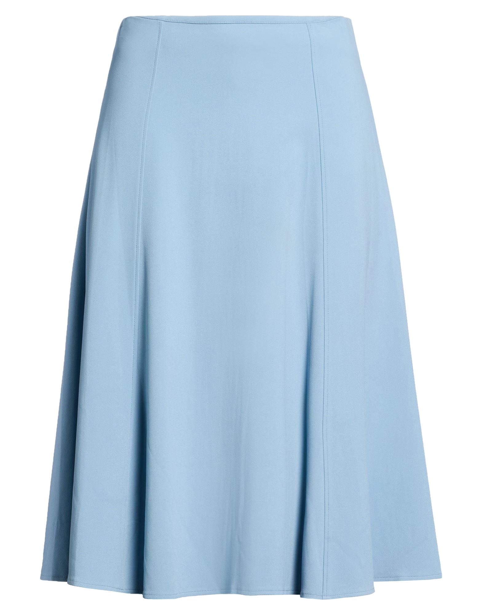 ELISABETTA FRANCHI - Maxi skirts