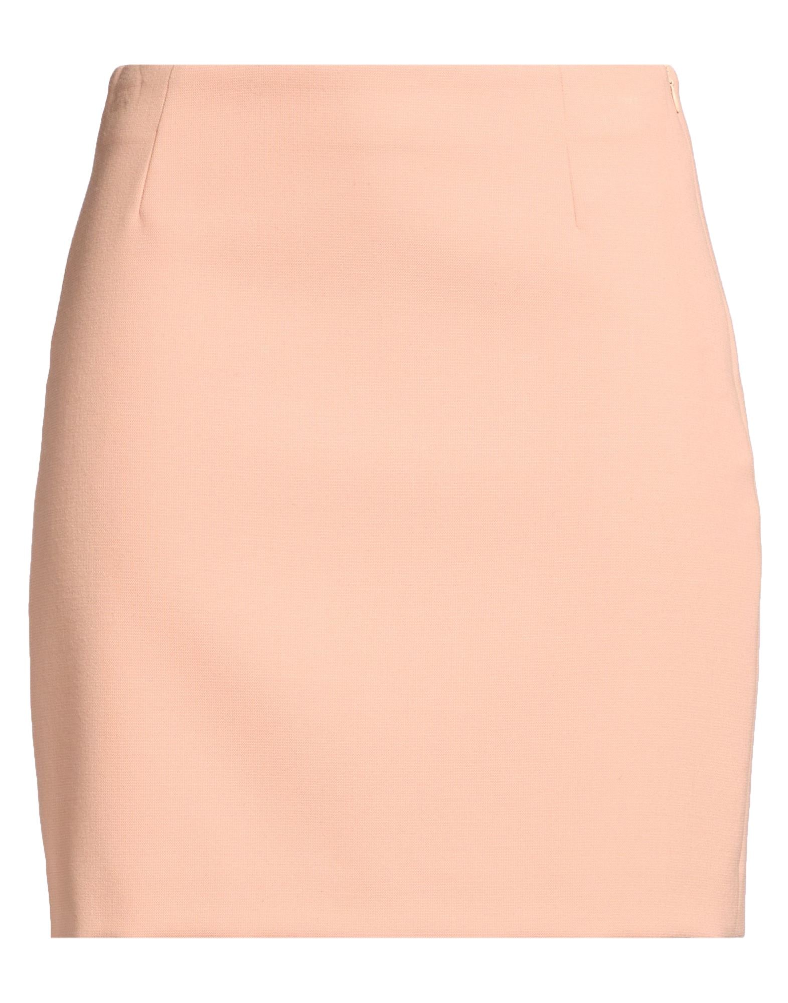 LARDINI - Mini skirts