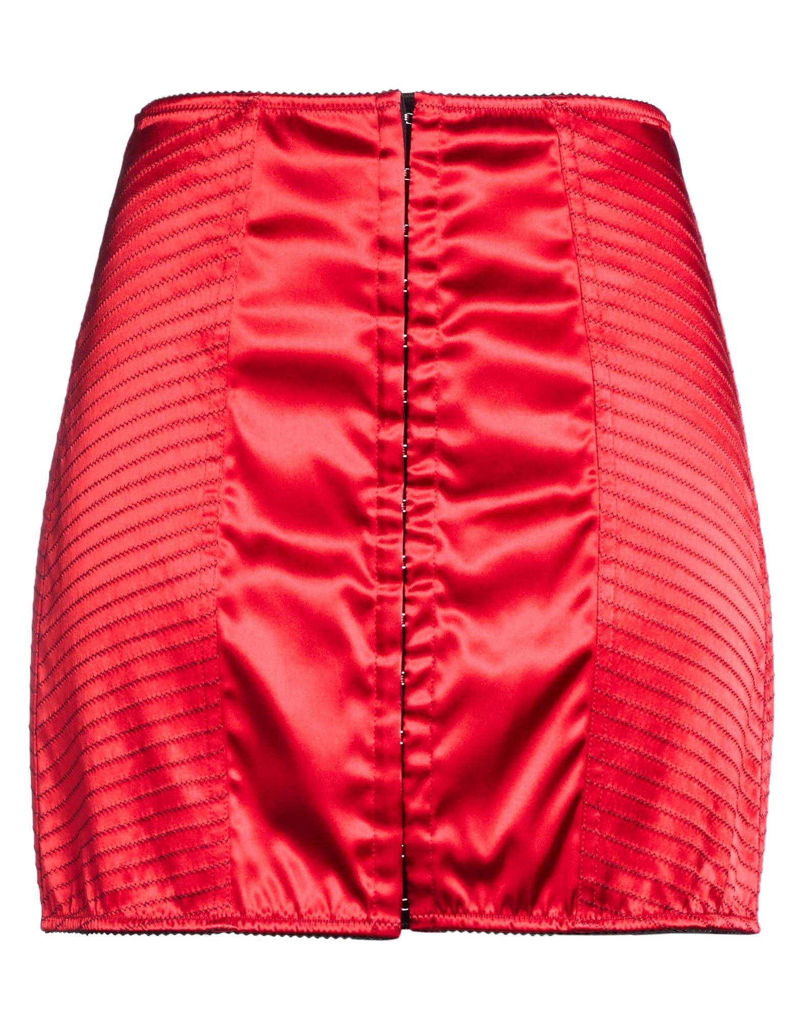 DOLCE&GABBANA - Mini skirts