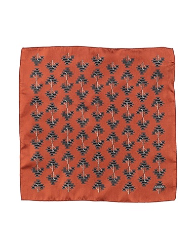 Z ZEGNA Scarves and foulards Brown 100% Silk