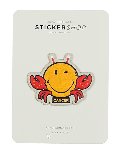 ANYA HINDMARCH Stationery and Pens Goat skin