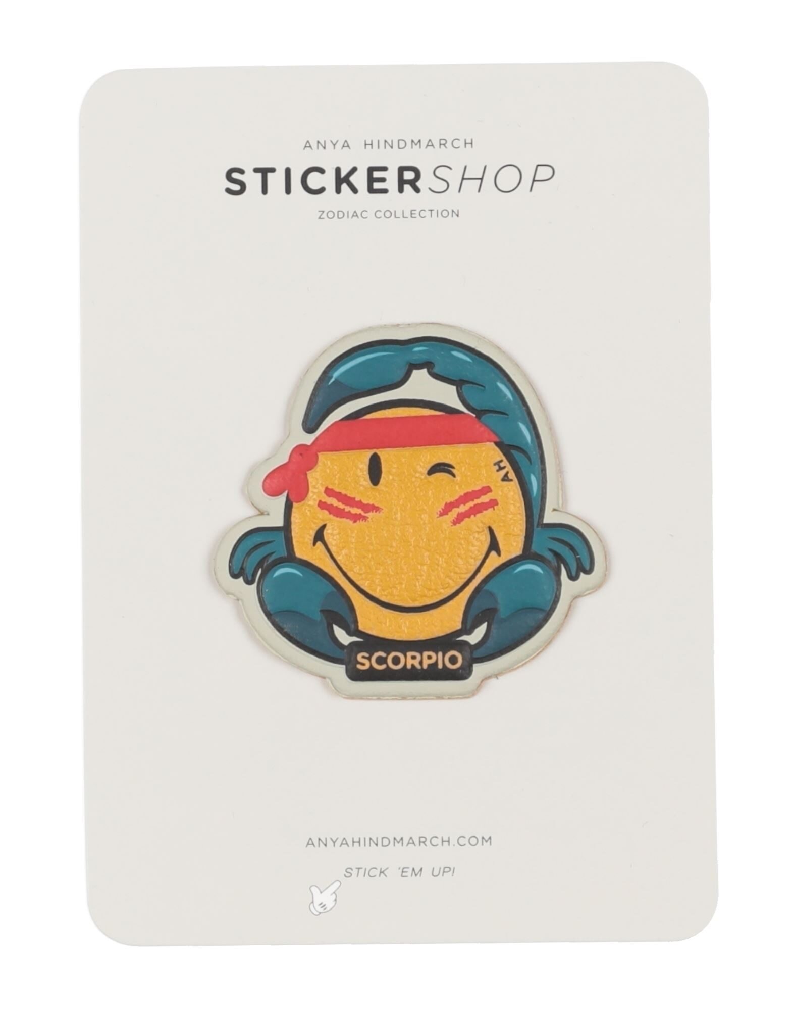 ANYA HINDMARCH - Other accessories