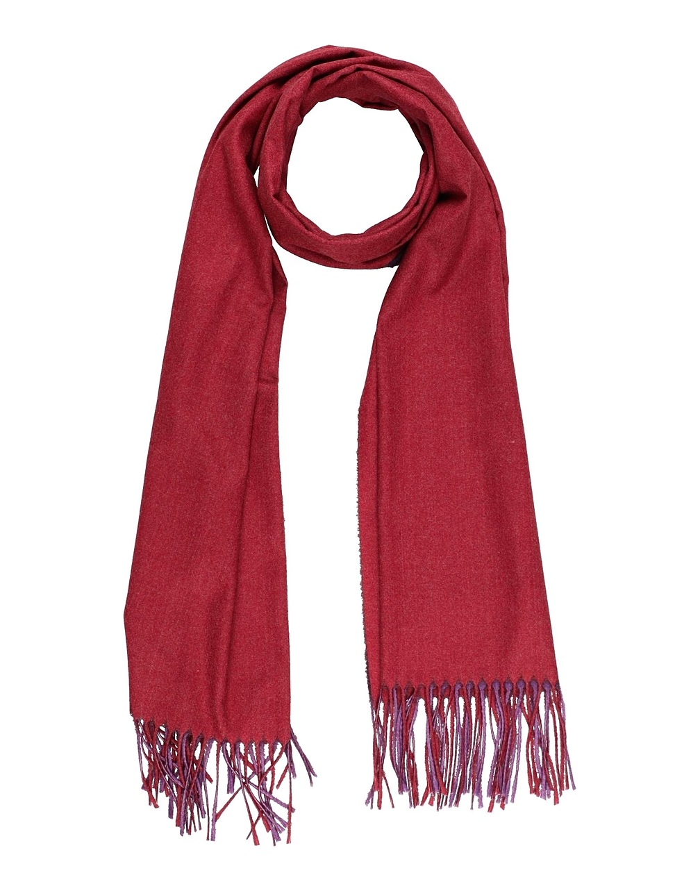 CAVALLI CLASS - Scarves