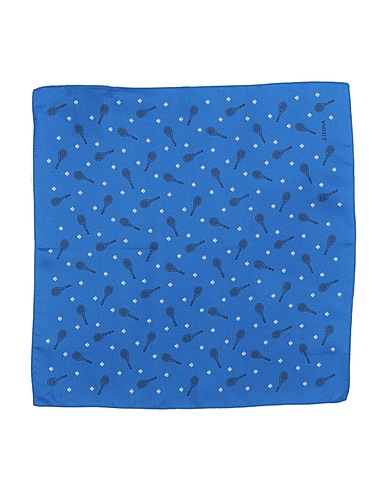 Z ZEGNA Sciarpe e foulard Blu 100% Seta