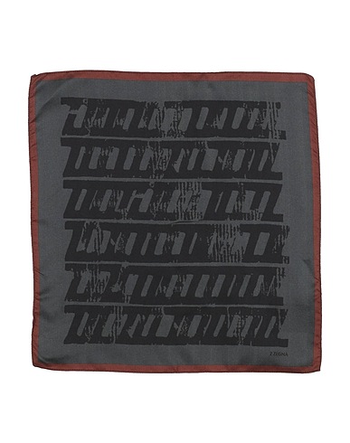 Z ZEGNA Scarves and foulards Charcoal 100% Silk