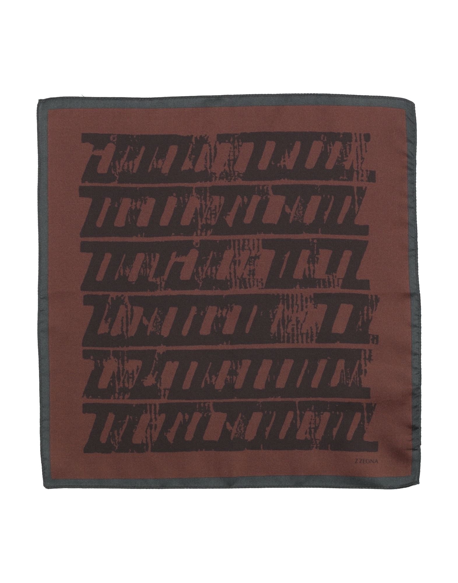 Z ZEGNA - Scarves