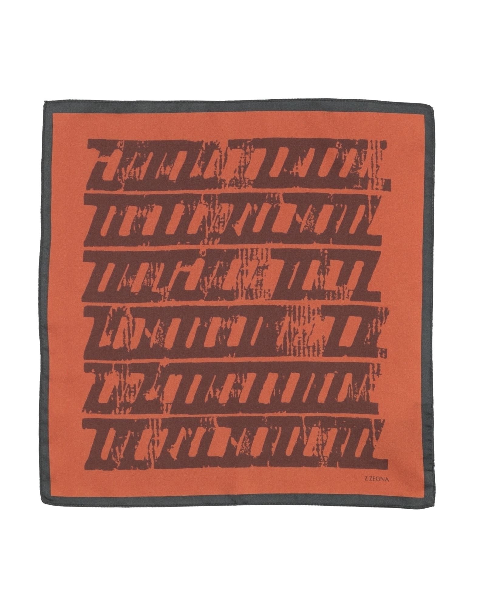 Z ZEGNA - Scarves