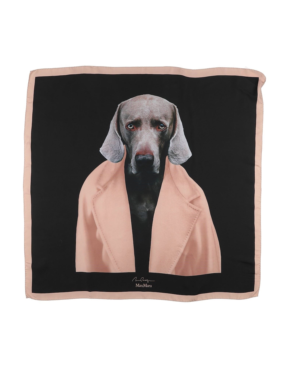 MAX MARA - Scarves