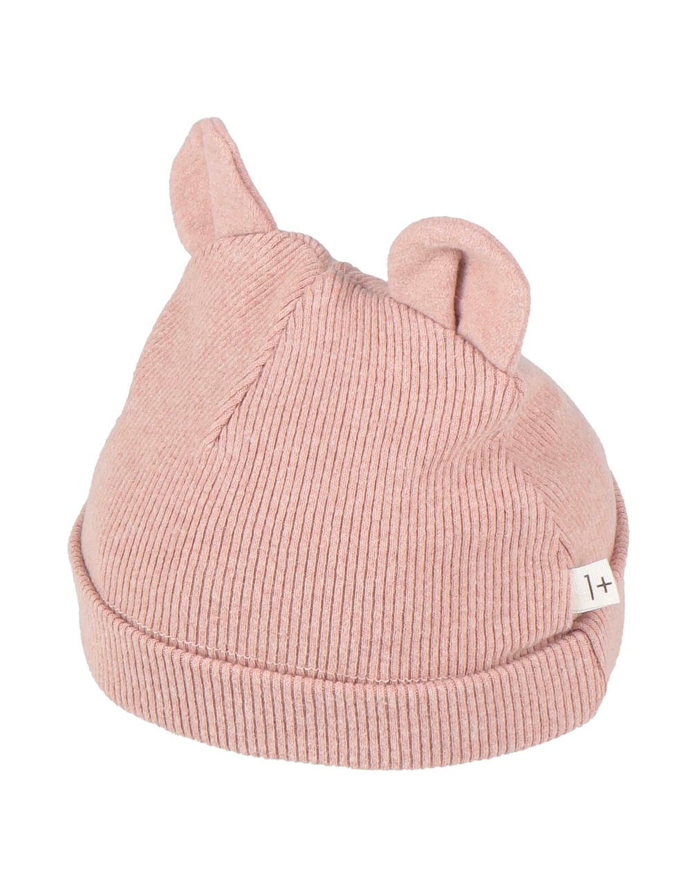 1 + IN THE FAMILY - Hats