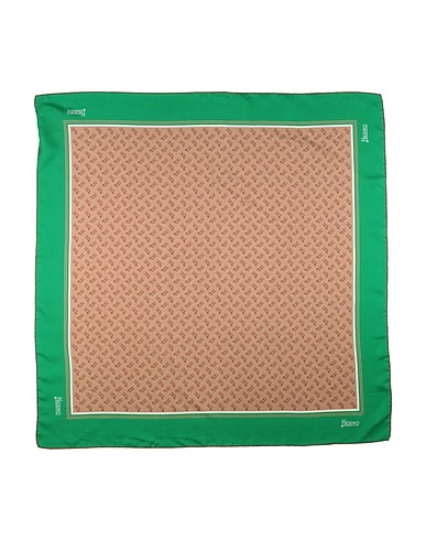 HERNO Sciarpe e foulard Verde 100% Seta