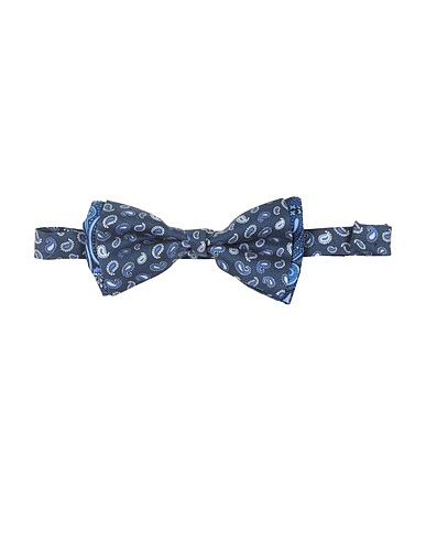 ETRO Ties and bow ties Blue 100% Silk
