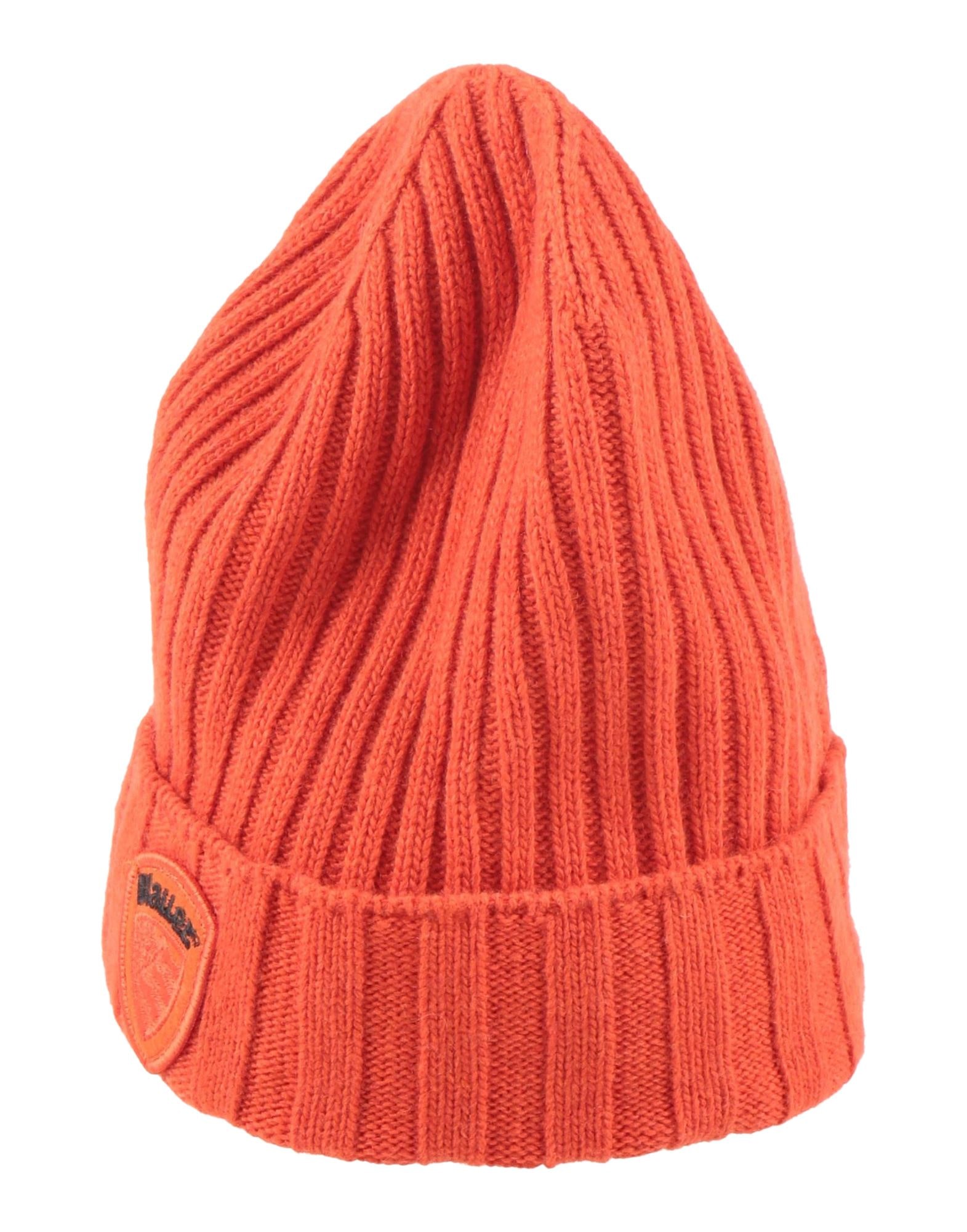 BLAUER. - Головные уборы