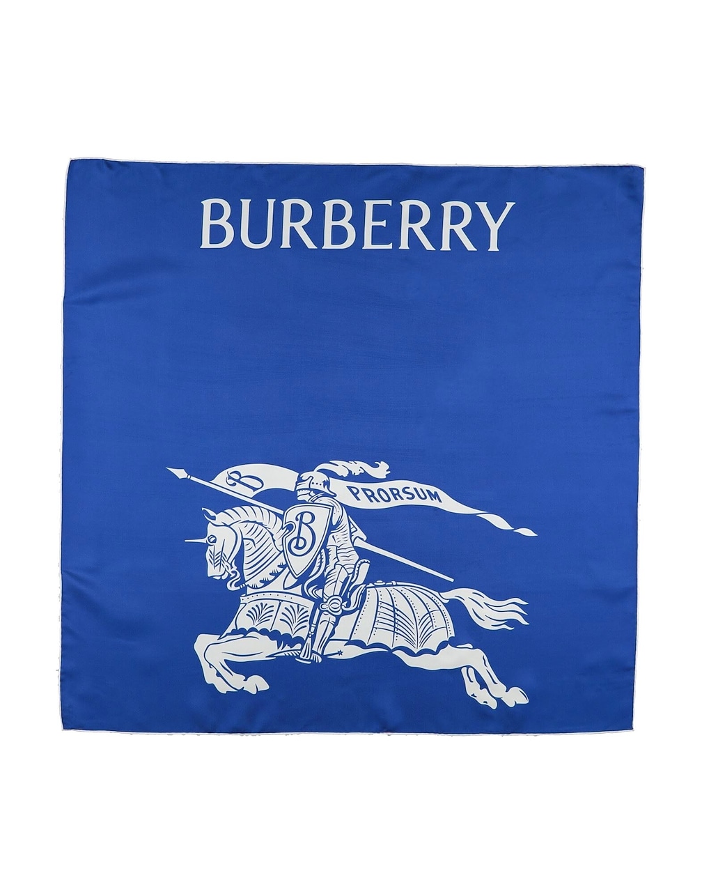 BURBERRY - Scarves