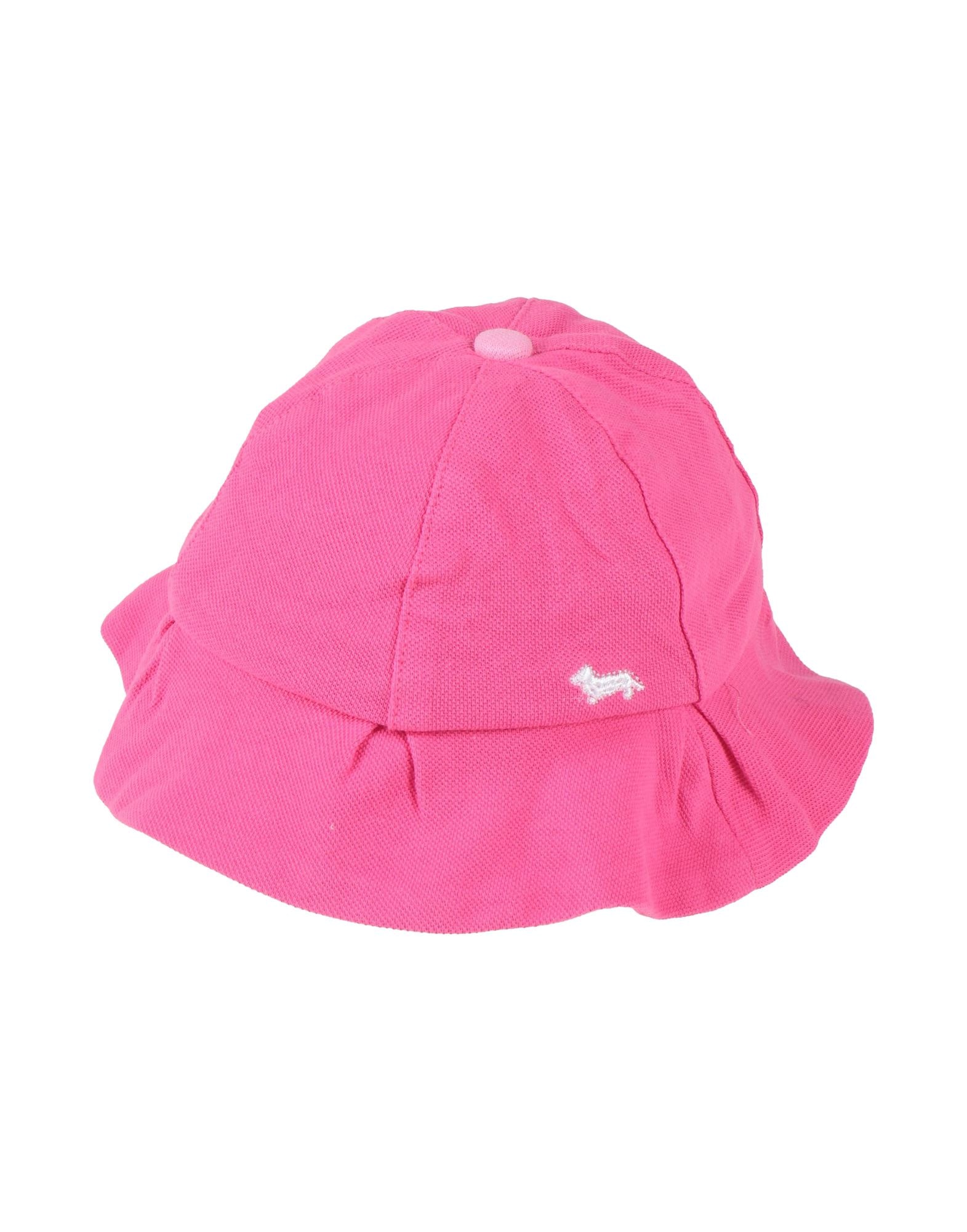 HARMONT & BLAINE - Hats