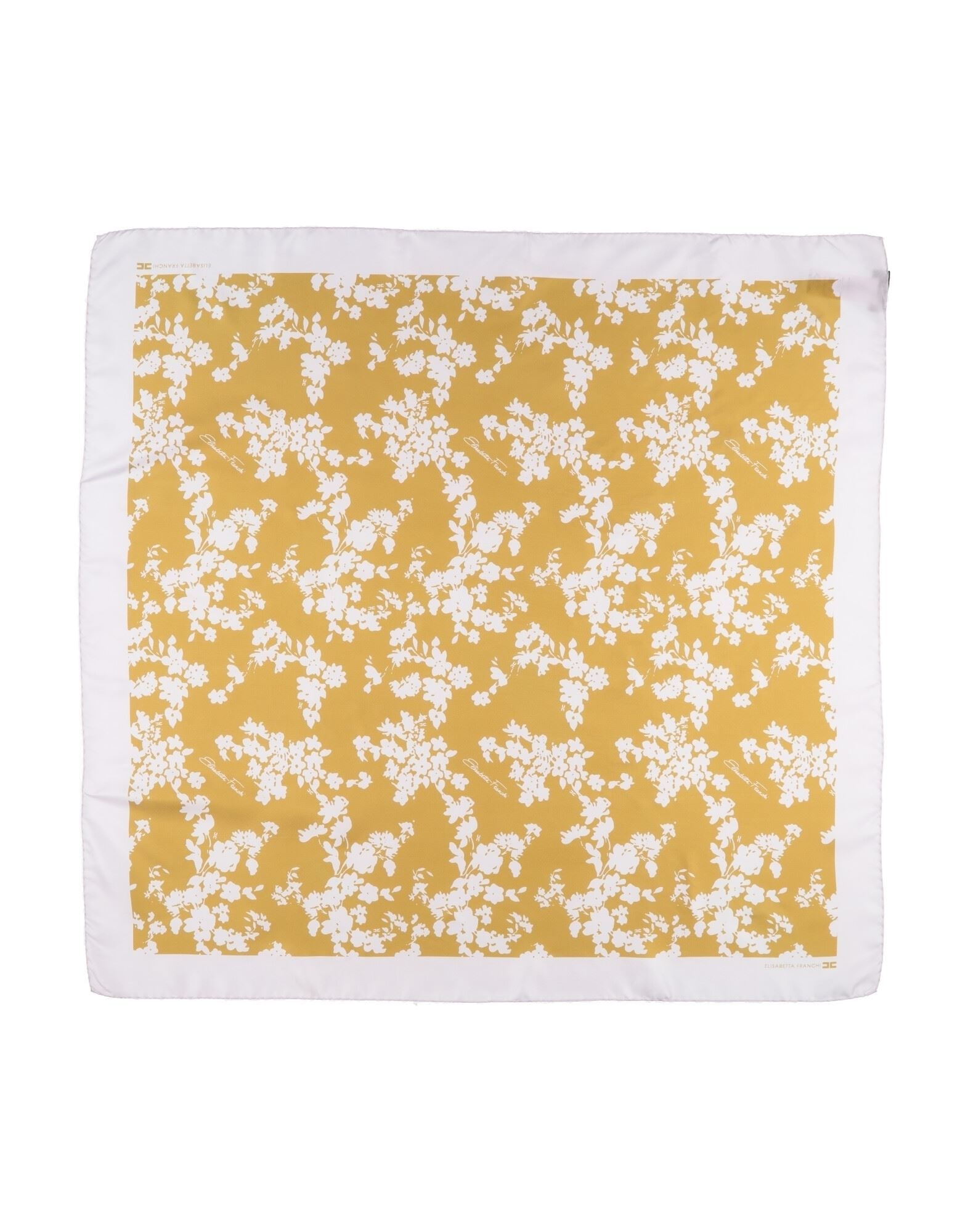 ELISABETTA FRANCHI - Scarves