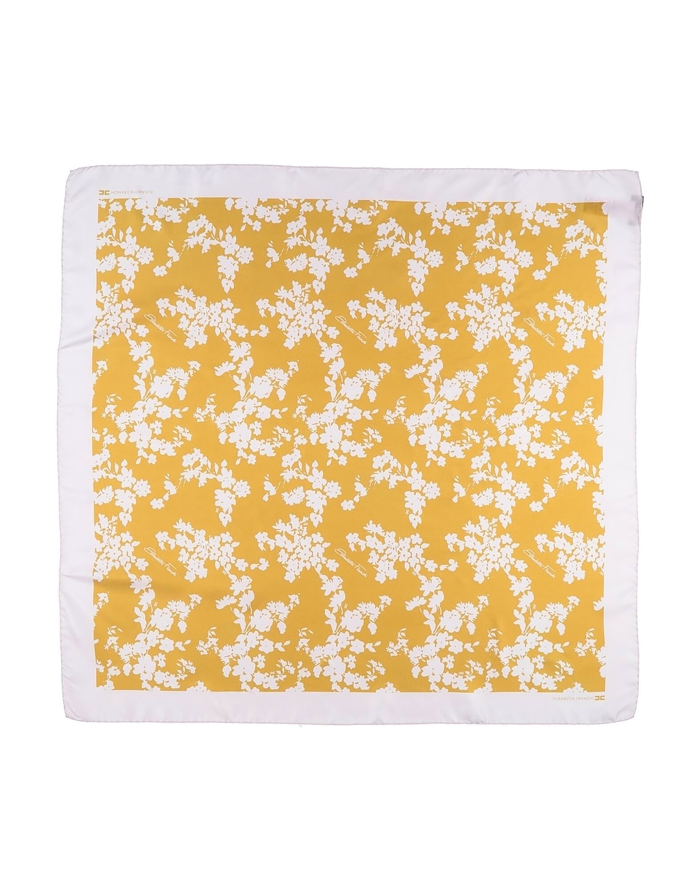 ELISABETTA FRANCHI - Schals