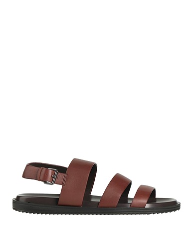 CERRUTI 1881 Sandals Chocolate brown 100% Cow leather