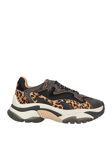 ASH Sneakers Black Leather