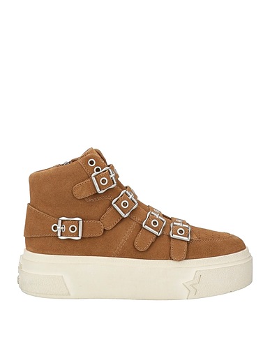 ASH Sneakers Brown Calfskin