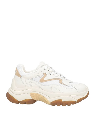 ASH Sneakers Ivory Leather