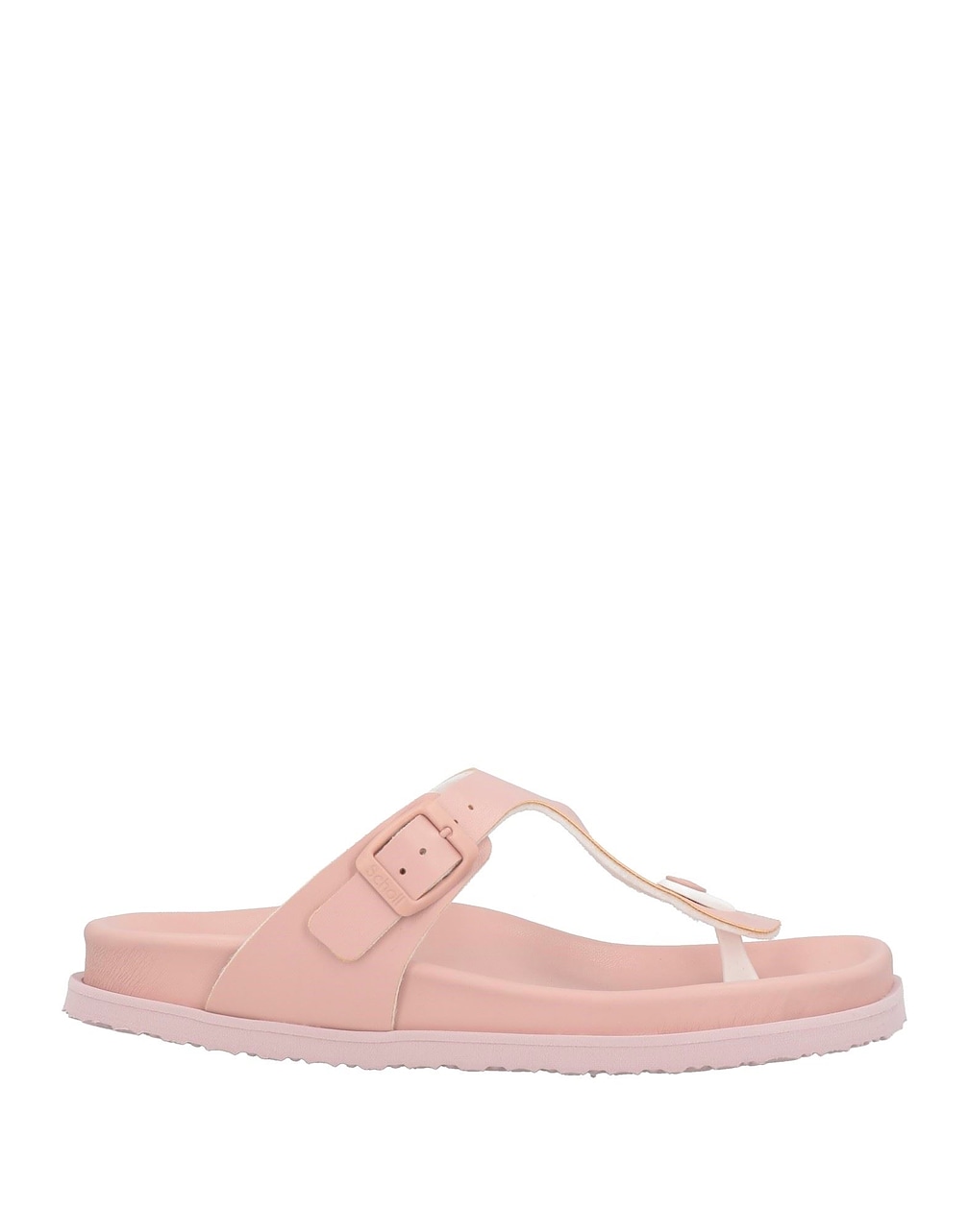 SCHOLL - Thong sandals