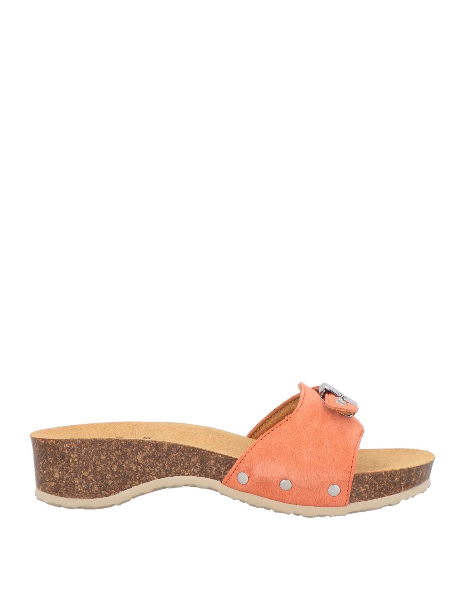 SCHOLL - Mules & Clogs