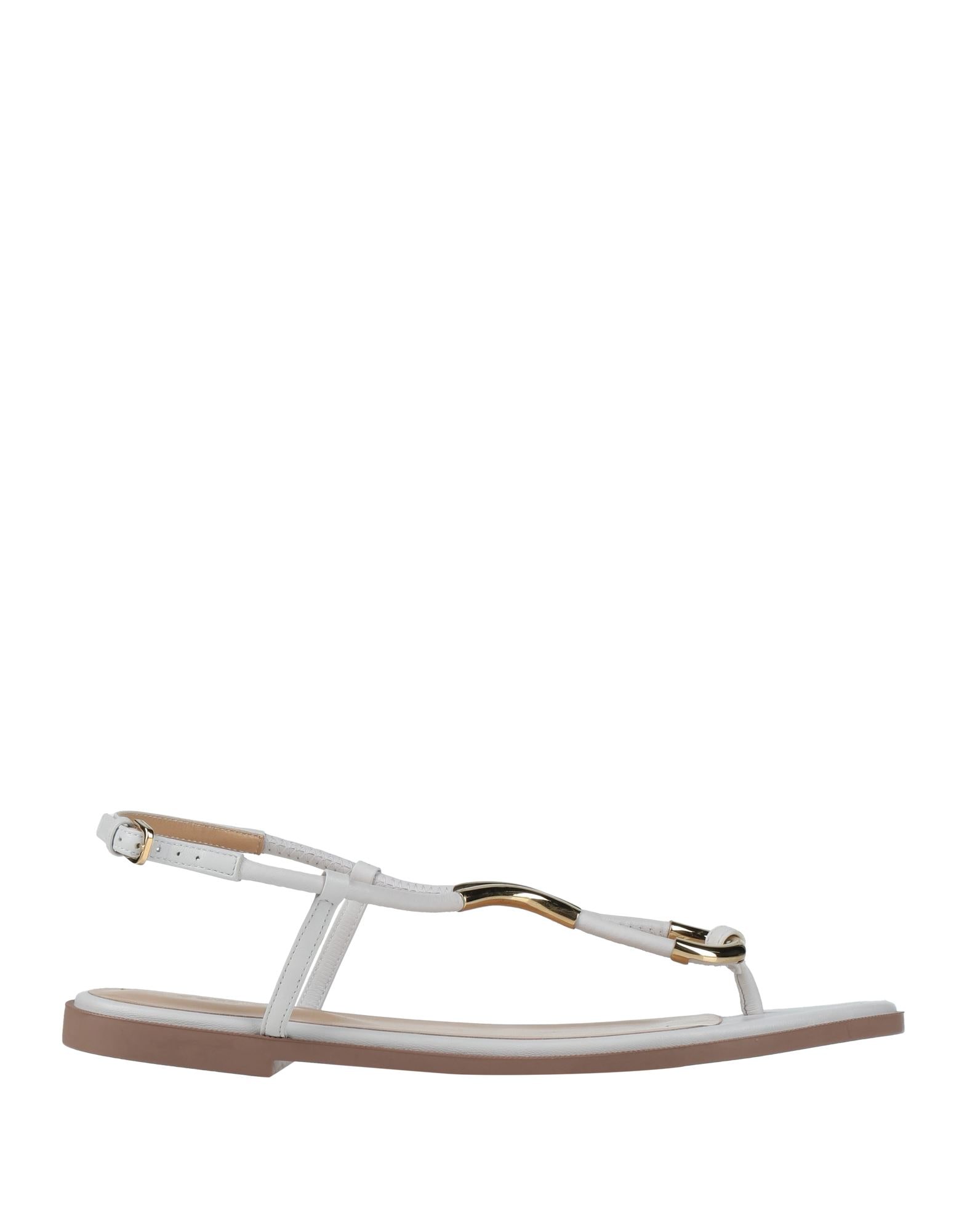 SERGIO ROSSI - Tongs