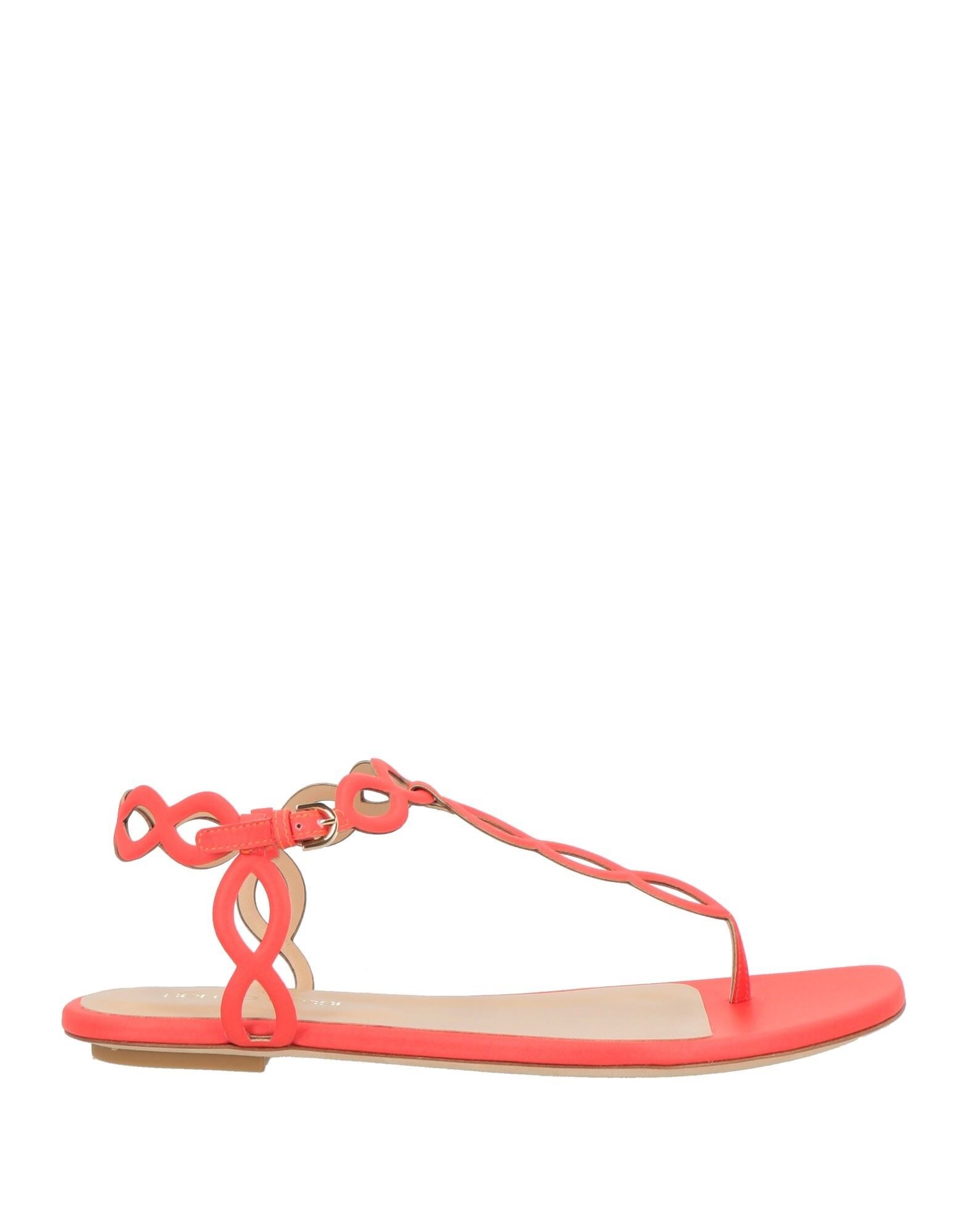 SERGIO ROSSI - Thong sandals