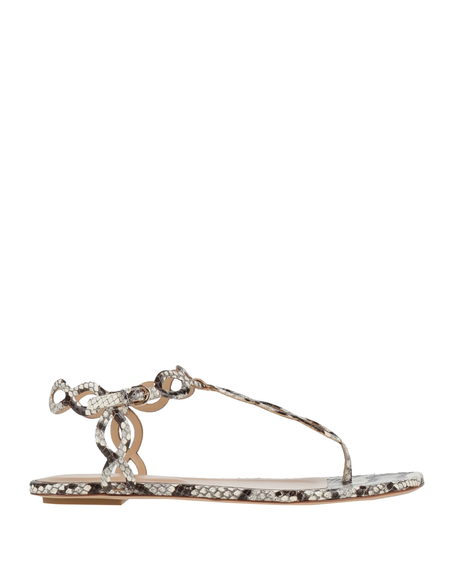 SERGIO ROSSI - Infradito