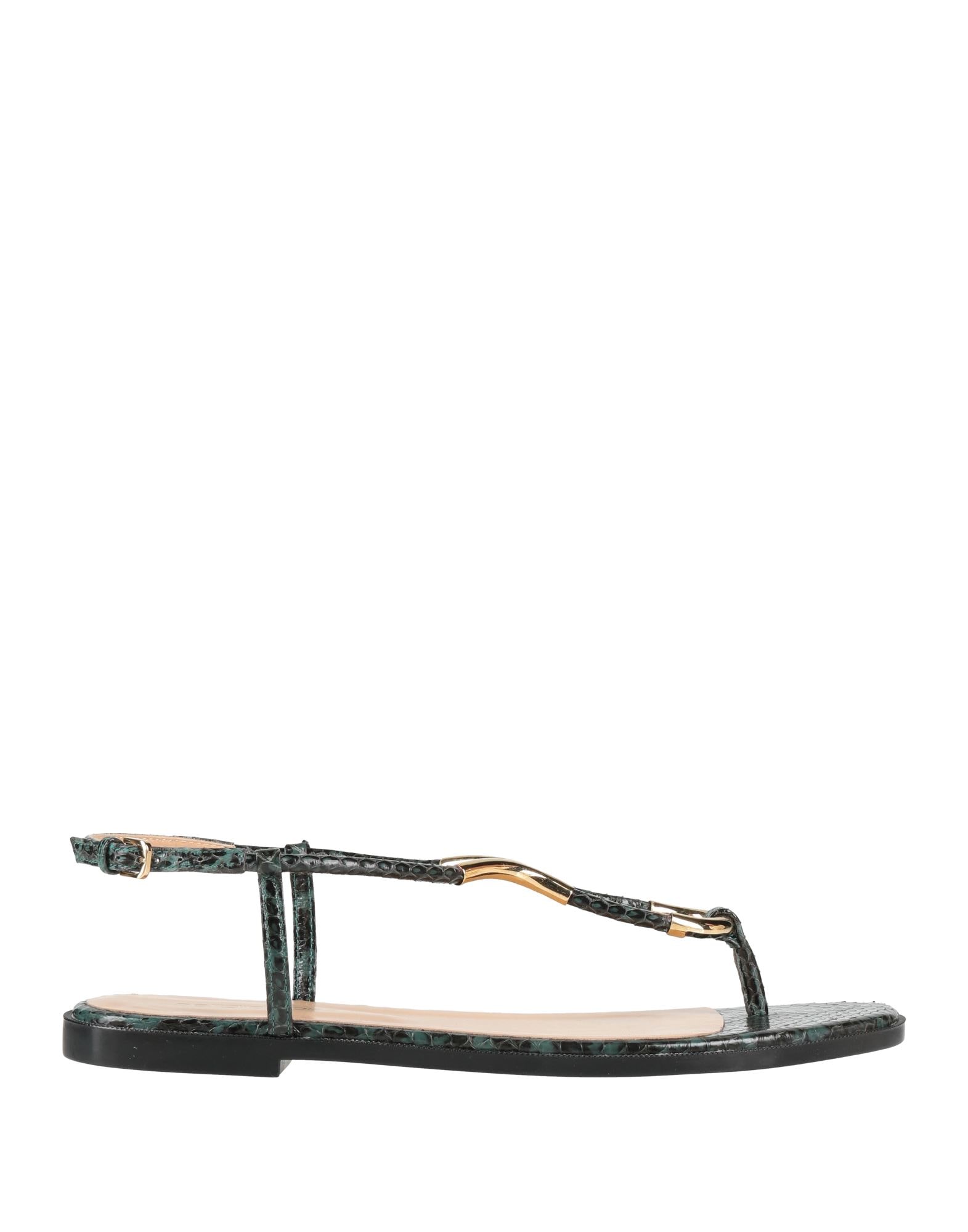 SERGIO ROSSI - Thong sandals