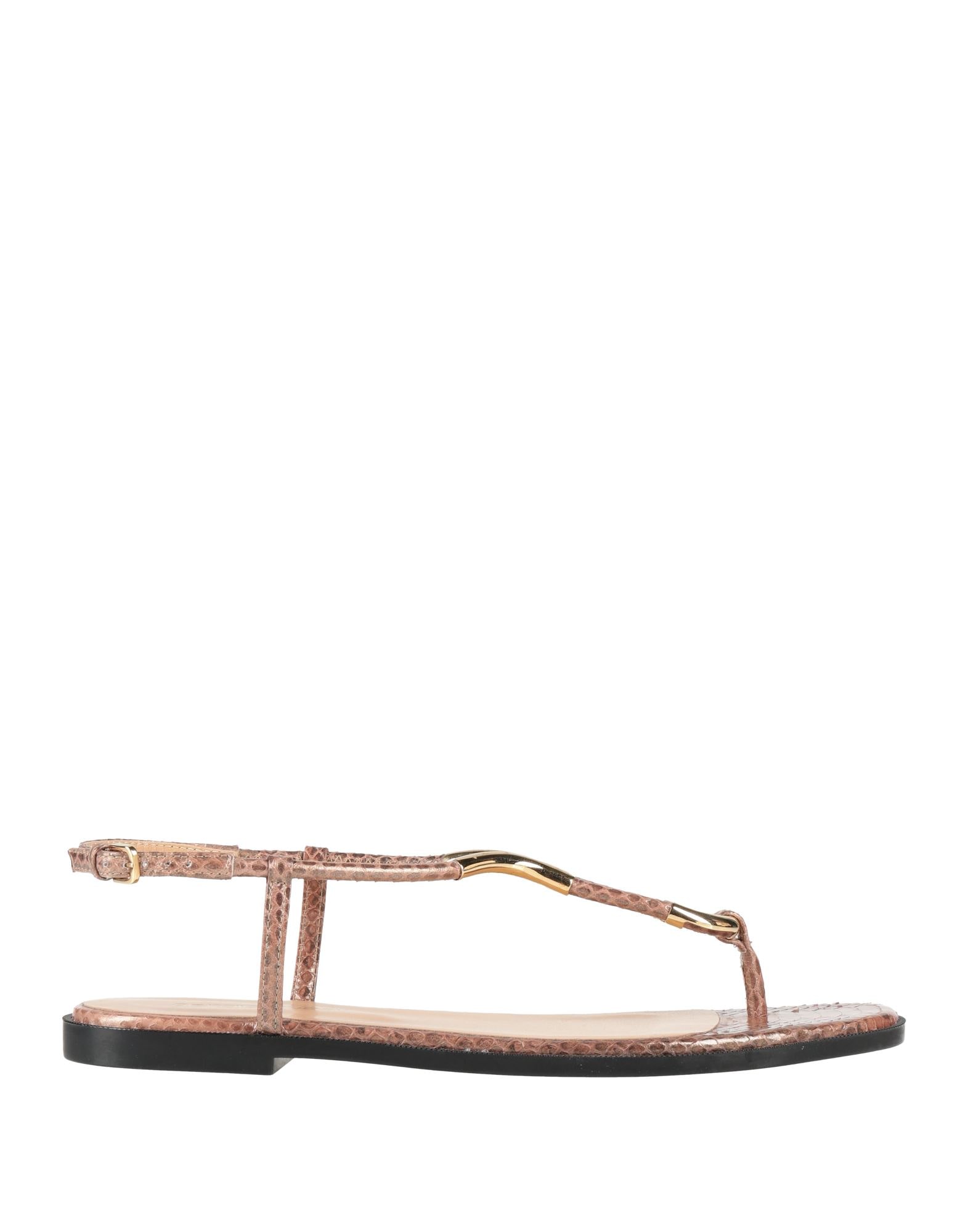 SERGIO ROSSI - Thong sandals