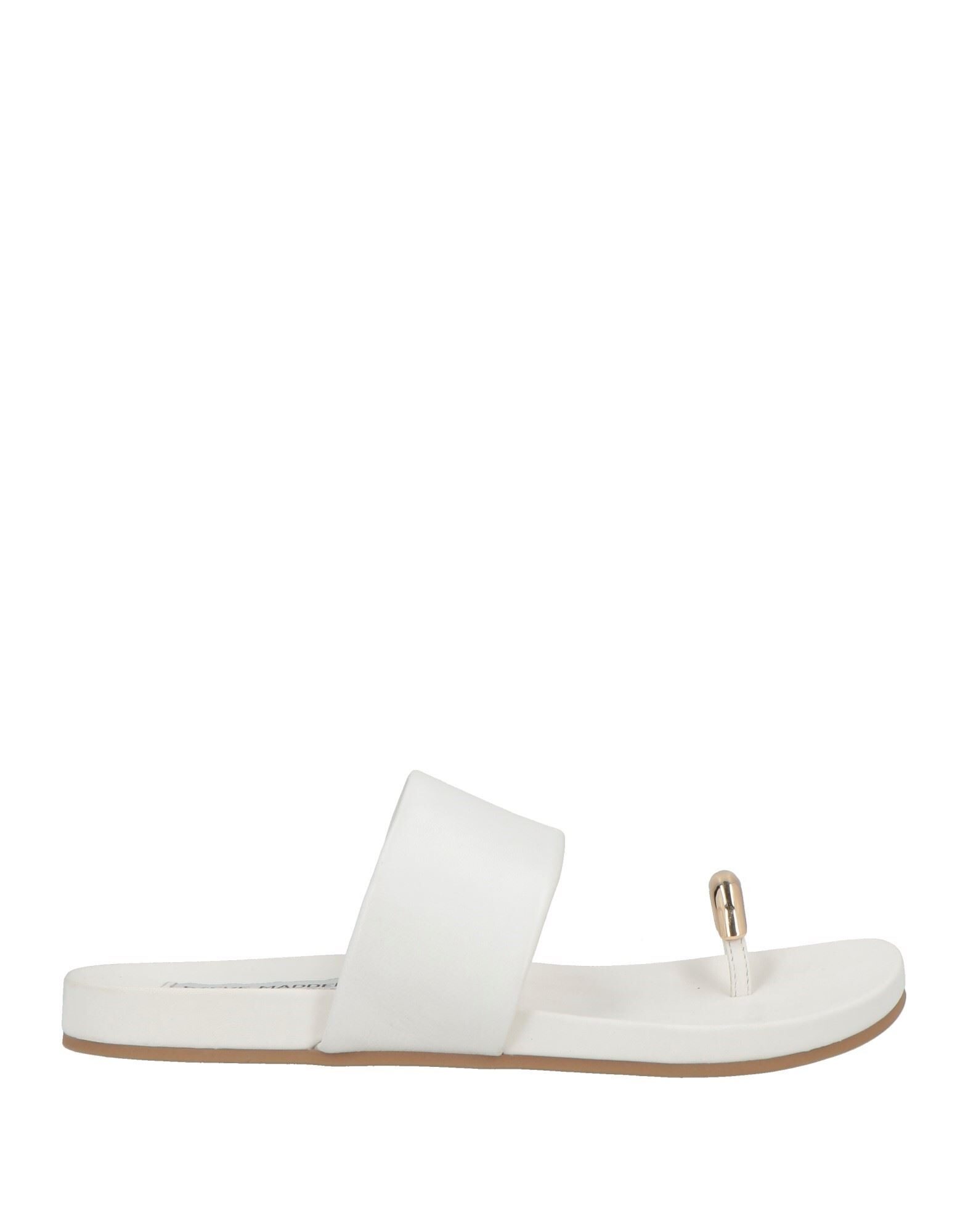 STEVE MADDEN - Thong sandals