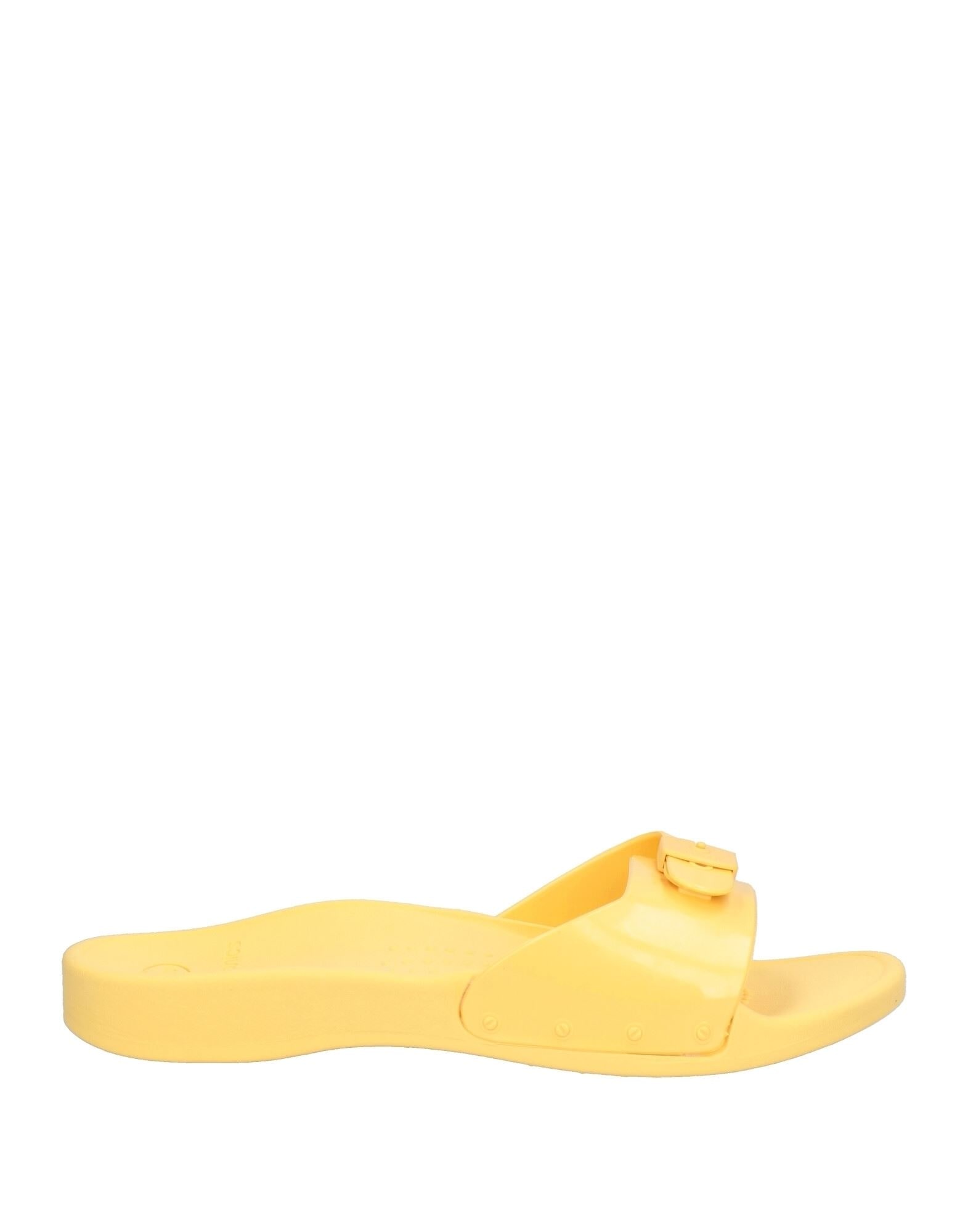 SCHOLL - Sandals