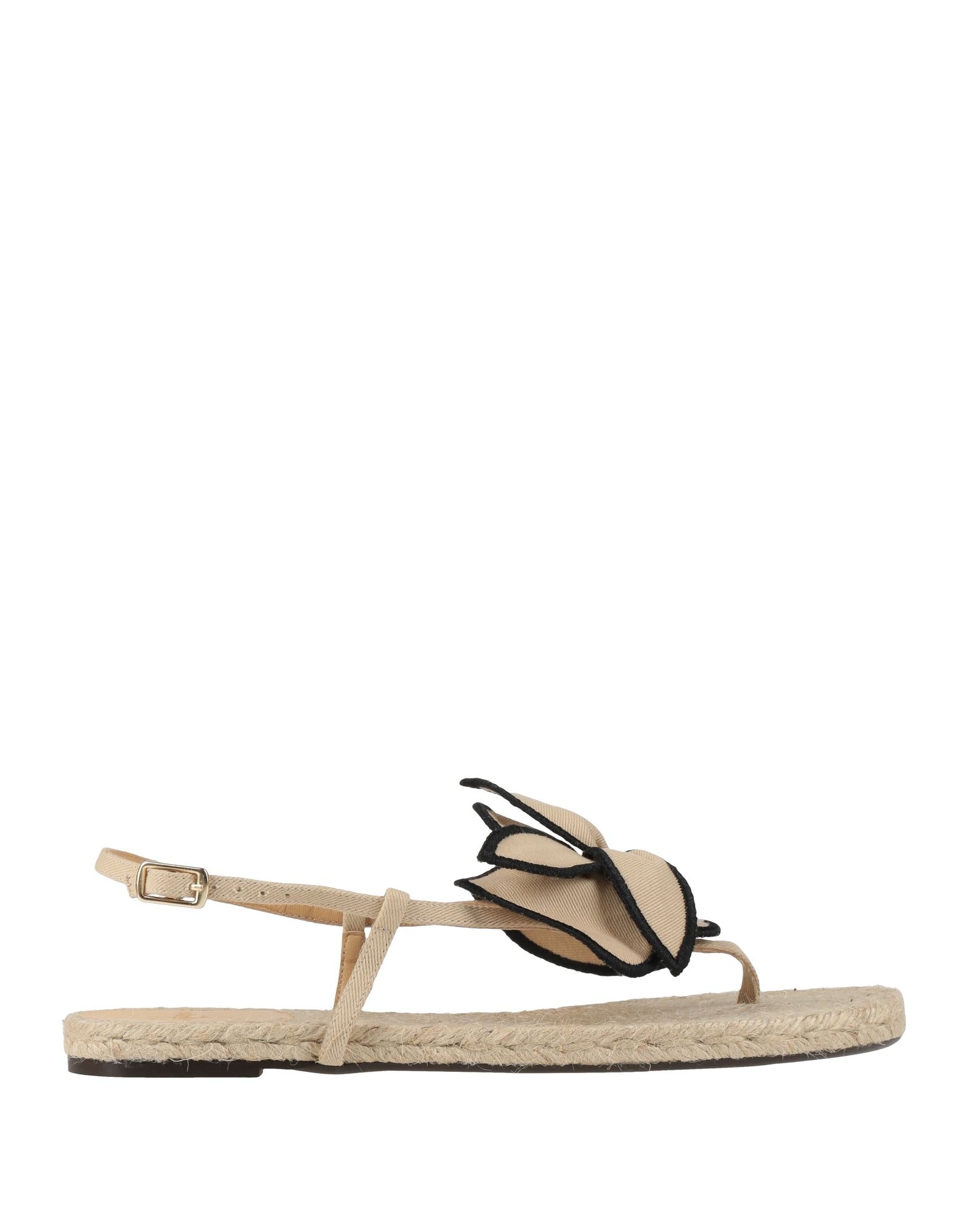 CASTAÑER - Infradito