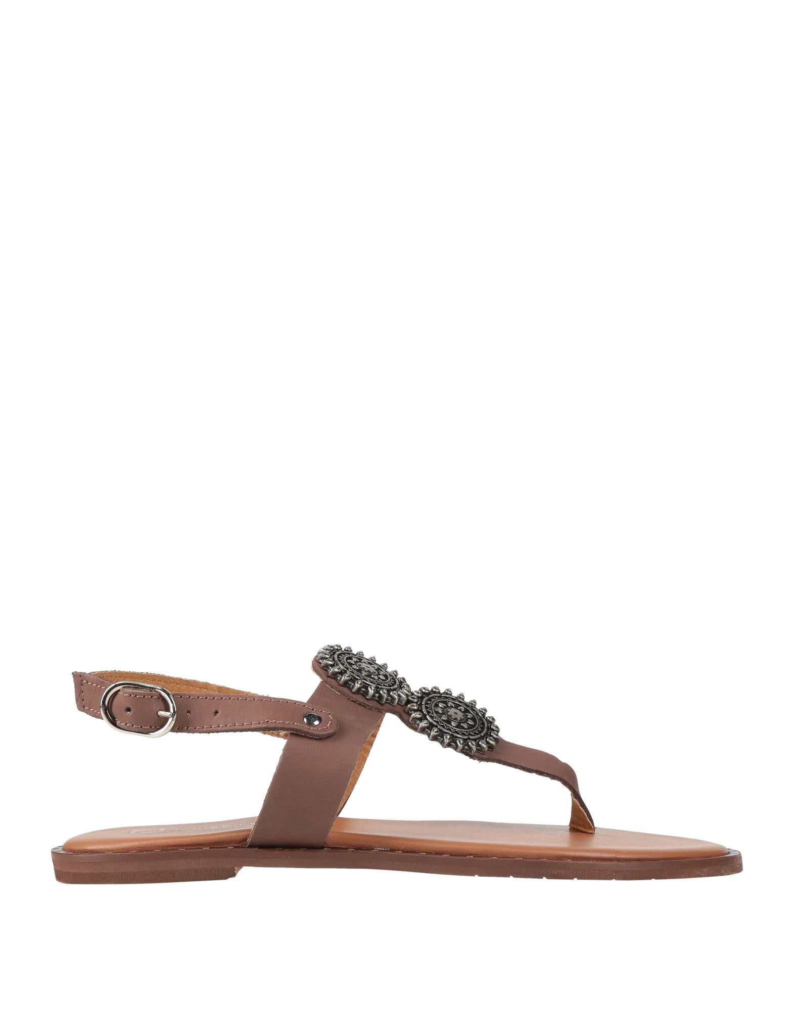 DIVINE FOLLIE - Thong sandals