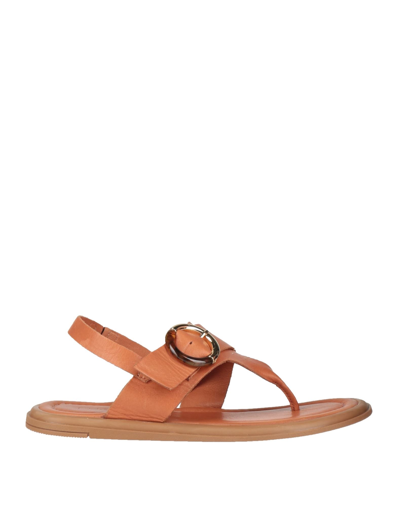 SHADDY - Zehentrenner