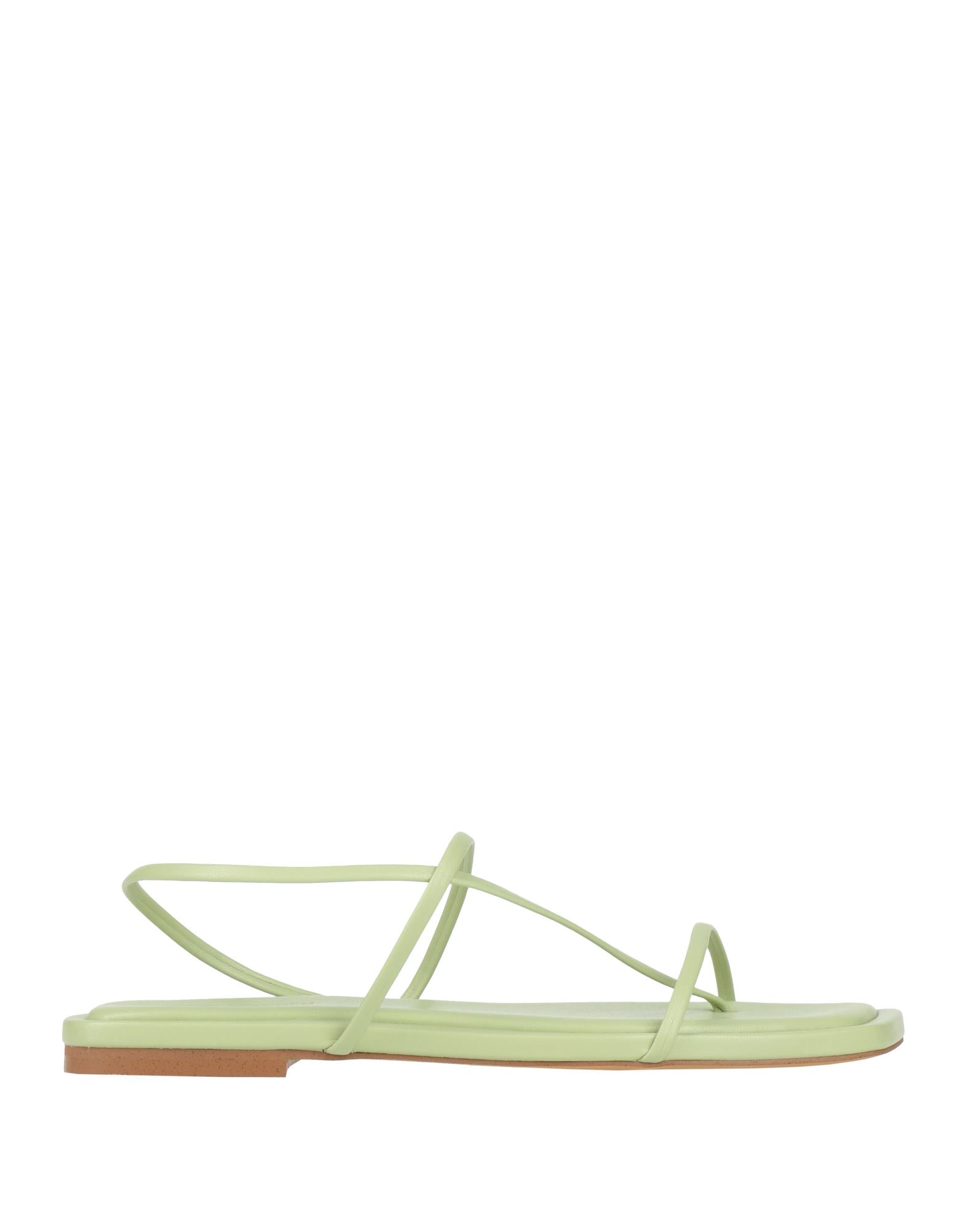 STEVE MADDEN - Thong sandals
