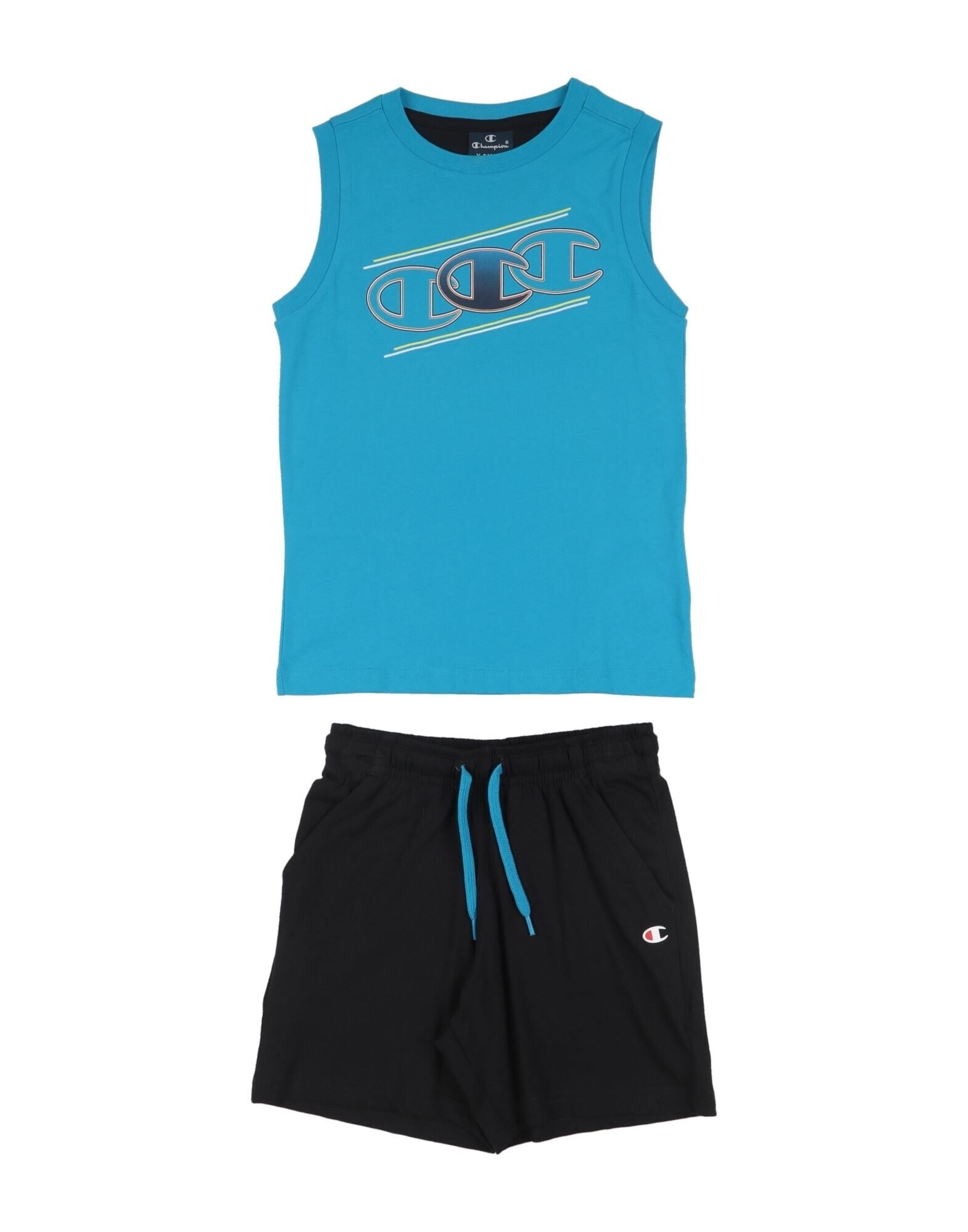 CHAMPION - Ensembles